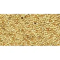 Wielink Geel millet 20 kg