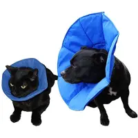SoftE Smart Collar