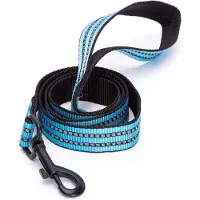 Nobleza Hondenriem - Reflecterende riem voor hond - Looplijn hond - Hondenlijn - Leiband hond - Reflecterend - Nylon - Blauw