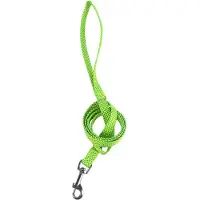 Nobleza Hondenriem - Riem puppy 120 cm - Lichtgroene riem hond - Leuke puppy riem - Fluorescerend - Gestipt - Groen