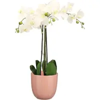 Mica Decorations Orchidee kunstplant wit - 75 cm - inclusief bloempot lichtroze glans - Kunstbloemen in pot