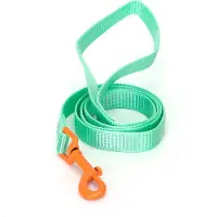 Nobleza Hondenriem - Looplijn hond - Uitlaatriem - Hondenlijn - Leiband hond - Fluorescerend - Nylon - 120 cm - Groen - Maat S