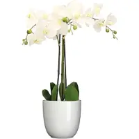 Mica Decorations Orchidee kunstplant wit - 75 cm - inclusief bloempot wit glans - Kunstbloemen in pot