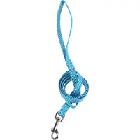 Nobleza Blauwe riem voor hond - Leuke moderne riem voor puppy - Hondenriem fris en vrolijk - Fluorescerend - Gestipt - Blauw