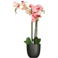 Mica Decorations Orchidee kunstplant roze - 75 cm - inclusief bloempot titanium grijs glans - Kunstbloemen in pot