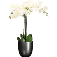 Mica Decorations Orchidee kunstplant wit - 75 cm - inclusief bloempot titanium grijs glans - Kunstbloemen in pot