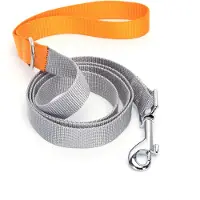 Nobleza Hondenriem - Hondenlijn 120 cm - Stevige Nylon Uitlaatriem - Comfortabel Handvat - Grijs Oranje
