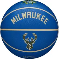 Wilson Basketbal