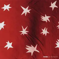 Konkurrent CitiZen - As You Please (LP) (Coloured Vinyl) (Limited Edition)