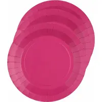 SANTEX Feest gebaksbordjes - fuchsia roze - 10x - karton - 17 cm - rond - kartonnen feestbordjes