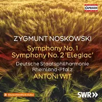 OUTHERE Deutsche Staatsphilharmonie Rheinland-Pfalz, Antoni Wit - Symphony No. 2 Elegiac - Symphony No. 1 (CD)
