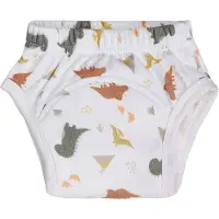 Blush & Blossom Dinosaurus 18-24M Badstof Oefenbroekje TR-BB443444