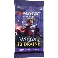 Wizards of the Coast Wilds of Eldraine - Draft booster met 15 kaarten