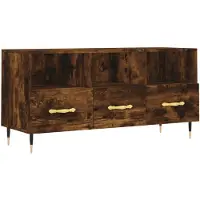 vidaXL Tv-meubel 102x36x50 cm bewerkt hout gerookt eikenkleurig