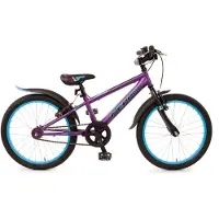 Bachtenkirch 665-PP-42 Kinderfiets PEPP 20" Mat Paars/Zwart