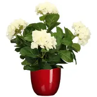Mica Decorations Hortensia kunstplant/kunstbloemen 45 cm - wit - in pot rood glans - Kunstplanten