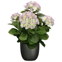Mica Decorations Hortensia kunstplant/kunstbloemen 45 cm - paars/groen - in pot zwart mat - Kunstplanten