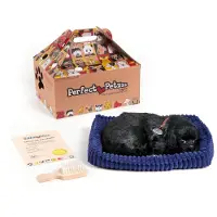 Perfect petzzz Soft labrador zwart
