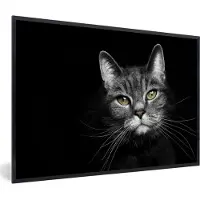 PosterMonkey Fotolijst incl. Poster - Huisdieren - Kat - Dieren - Zwart - Wit - 120x80 cm - Posterlijst