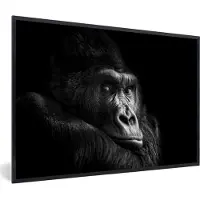 PosterMonkey Fotolijst incl. Poster - Gorilla - Aap - Zwart - Wit - Portret - 60x40 cm - Posterlijst
