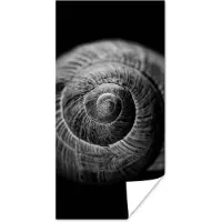 PosterMonkey Poster Slak - Dieren - Zwart - Wit - Slakkenhuis - 40x80 cm