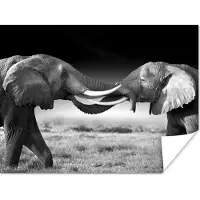 PosterMonkey Poster Olifant - Dieren - Zwart wit - Portret - Landschap - 160x120 cm XXL