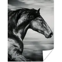 PosterMonkey Poster Paard - Dieren - zwart - Wit - 120x160 cm XXL