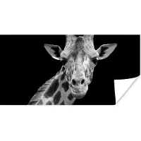 PosterMonkey Poster Giraffe - Wilde dieren - Zwart - Wit - Portret - 120x60 cm