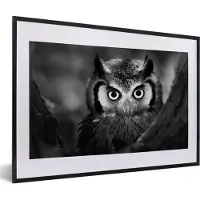 PosterMonkey Fotolijst incl. Poster - Vogel - Uil - Portret- Zwart - Wit - 60x40 cm - Posterlijst