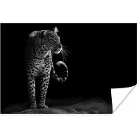 PosterMonkey Poster Wilde dieren - Luipaard - Natuur - Zwart - Wit - 90x60 cm