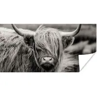 PosterMonkey Poster Schotse hooglander - Koe - Dieren - Zwart wit - Landelijk - 120x60 cm