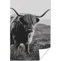 PosterMonkey Poster Schotse hooglander - Natuur - Koeien - Dieren - Zwart wit - 20x30 cm