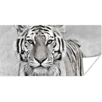 PosterMonkey Poster Tijger - Natuur - Zwart - Wit - 160x80 cm