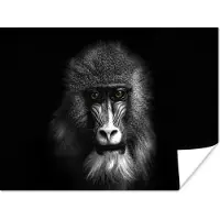 PosterMonkey Poster Aap - Dieren - Ogen - Bruin - Zwart wit - 40x30 cm