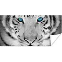 PosterMonkey Poster Dieren - Tijger - Ogen - Blauw - Zwart wit - 120x60 cm