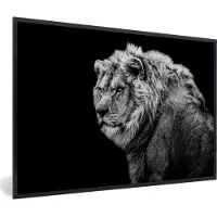 PosterMonkey Fotolijst incl. Poster - Leeuw - Portret - Wilde dieren - Zwart - Wit - 30x20 cm - Posterlijst