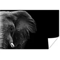 PosterMonkey Poster Dieren - Olifant - Wild - Zwart - Wit - 120x80 cm