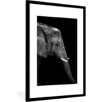 PosterMonkey Fotolijst incl. Poster Zwart Wit- Olifant - Zwart wit - Portret - Dieren - 80x120 cm - Posterlijst