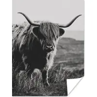 PosterMonkey Poster Schotse hooglander - Natuur - Koeien - Dieren - Zwart wit - 30x40 cm