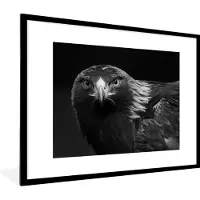 PosterMonkey Fotolijst incl. Poster - Buizerd - Vogel - Dieren - Zwart - Wit - 80x60 cm - Posterlijst