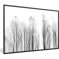 PosterMonkey Fotolijst incl. Poster Zwart Wit- Bomen - Zwart wit - Vogels - Natuur - 60x40 cm - Posterlijst