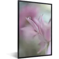 PosterMonkey Fotolijst incl. Poster - In pink delight - 40x60 cm - Posterlijst