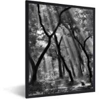 PosterMonkey Fotolijst incl. Poster - Enchanted forest ... - 60x80 cm - Posterlijst