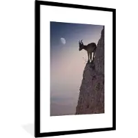 PosterMonkey Geit - Maan - Steen - Wanddecoratie - Muurdecoratie - Fotolijst - Kader - 80x120 cm