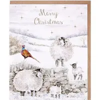 Wrendale Designs Wrendale Kerstkaarten Notepack - 8 stuks - 'Merry Christmas to Ewe' Sheep Christmas Card Pack