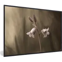 PosterMonkey Bloem - Gras - Natuur - Foto in Lijst - 60x40 cm - Wanddecoratie - Muurdecoratie - Poster