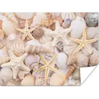 PosterMonkey Poster Zeesterren - Schelpen - Strand - Zomer - 40x30 cm
