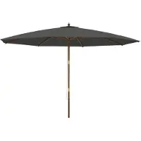 vidaXL Parasol met houten paal 400x273 cm antracietkleurig