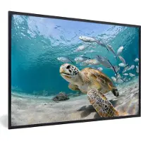PosterMonkey Fotolijst incl. Poster - Schildpad - Vis - Zee - 120x80 cm - Posterlijst