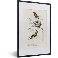PosterMonkey Fotolijst incl. Poster - Vogel - Vintage - Tak - 40x60 cm - Posterlijst